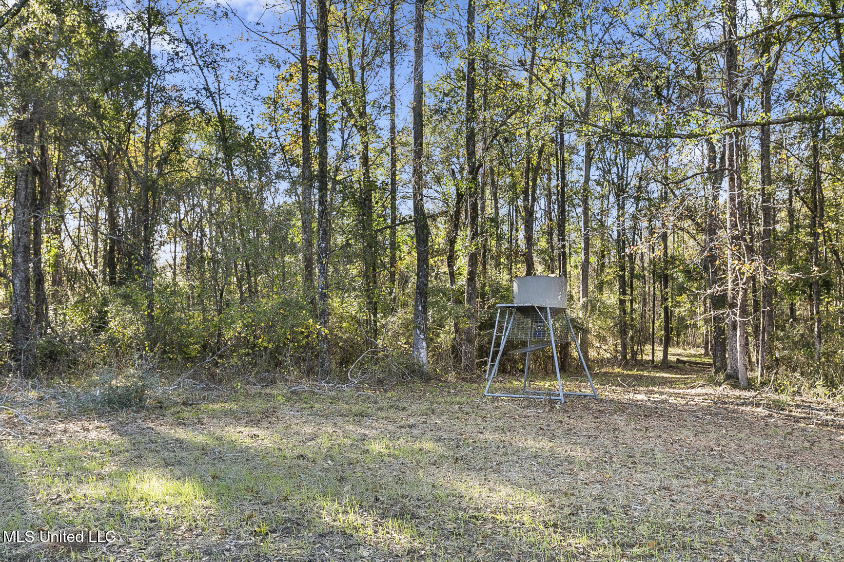 410 Cole Road Mendenhall, MS 39114 - Photo 72 of 76 410 Cole Rd-64