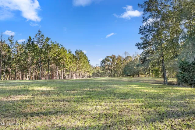 $990,000 | 410 Cole Road, Mendenhall, MS 39114