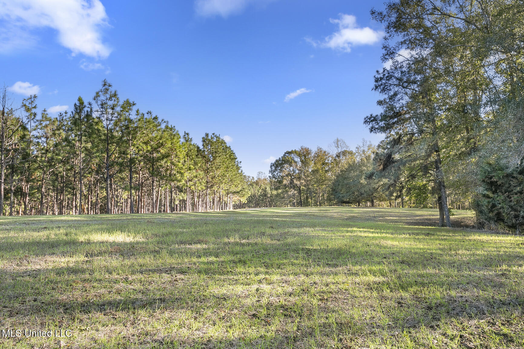 410 Cole Road Mendenhall, MS 39114 - Photo 73 of 76 410 Cole Rd-65