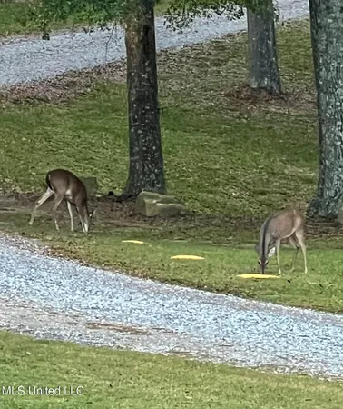 $990,000 | 410 Cole Road, Mendenhall, MS 39114