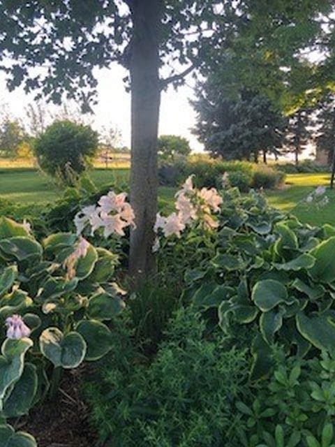 3469 Old Mission Road Traverse City, MI 49686 - Photo 20 of 39 1891317-19.JPG