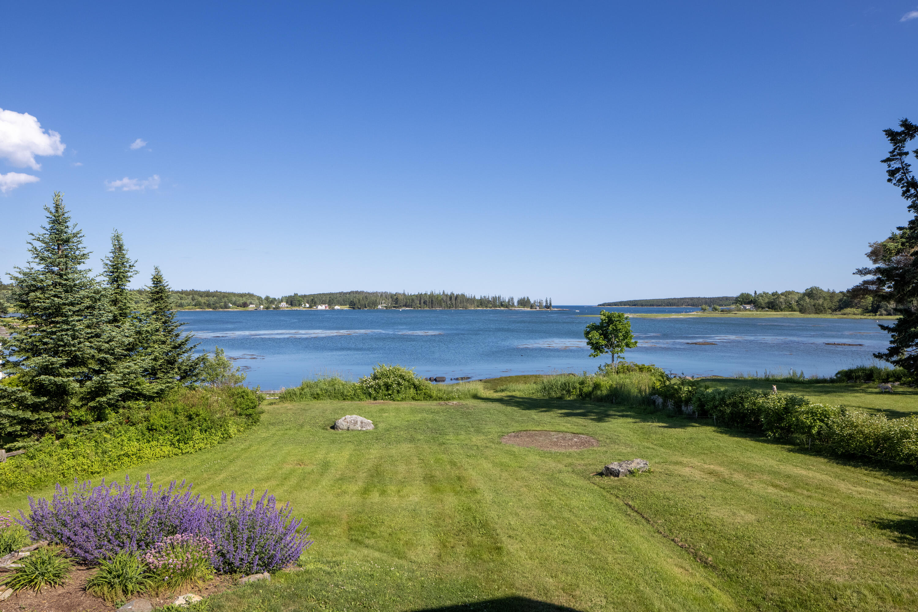496 Port Clyde Road Tenants Harbor, ME 04860 - Photo 73 of 78 Large Back Yard