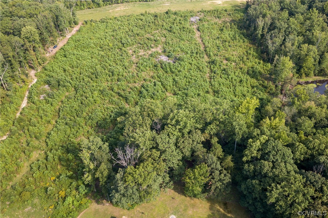 7000 Venable Road Kents Store, VA 23084 - Photo 35 of 45 a view of a large yard with lots of green space
