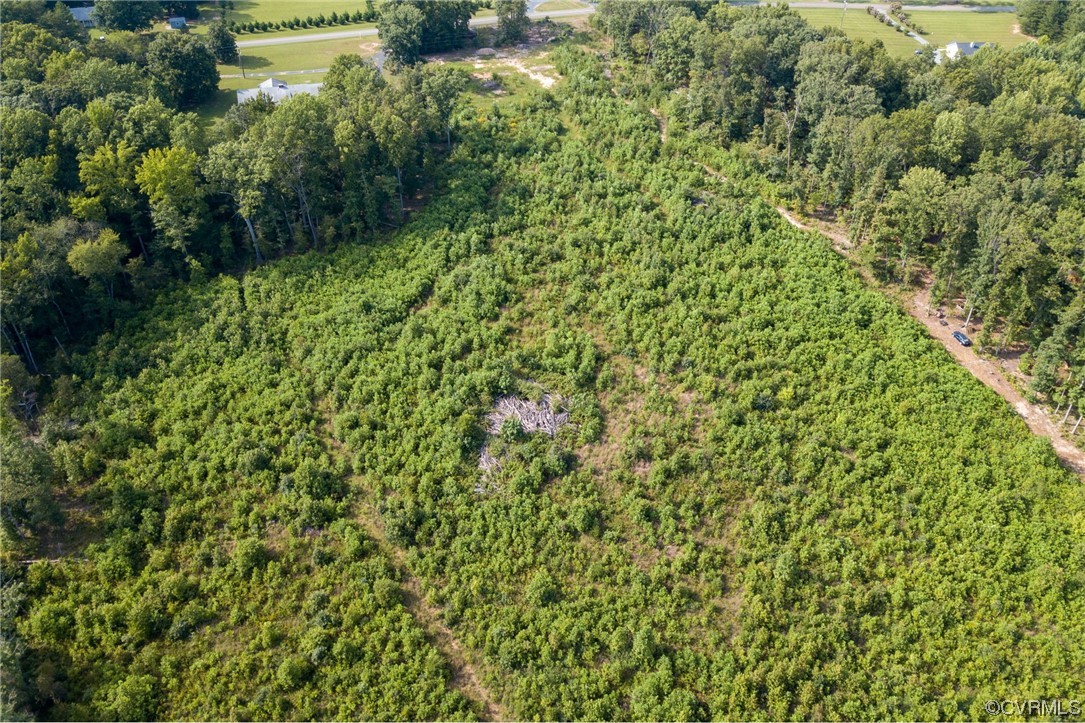 7000 Venable Road Kents Store, VA 23084 - Photo 37 of 45 a view of a lush green forest with a houses