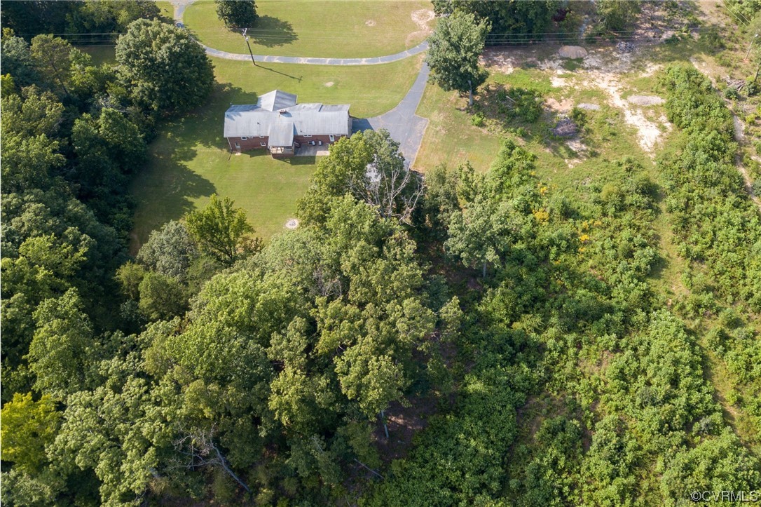 7000 Venable Road Kents Store, VA 23084 - Photo 38 of 45 a close up of a plant in a garden