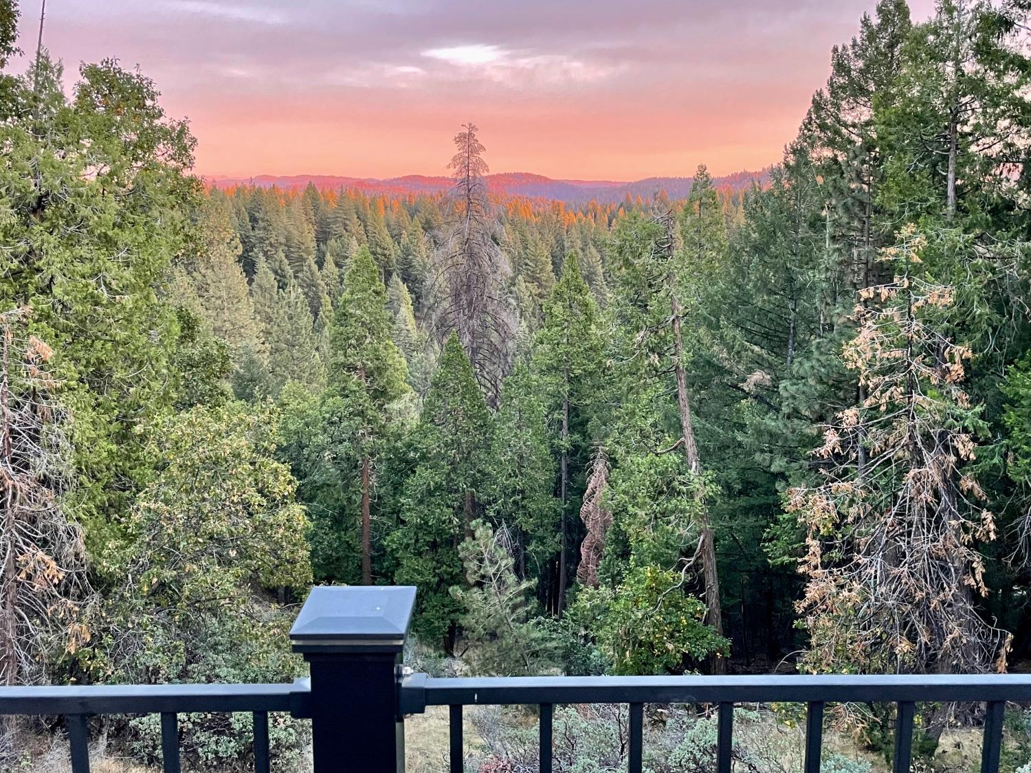 4131 Pearl Road Pollock Pines, CA 95726 - Photo 1 of 1 Gallery Image 1