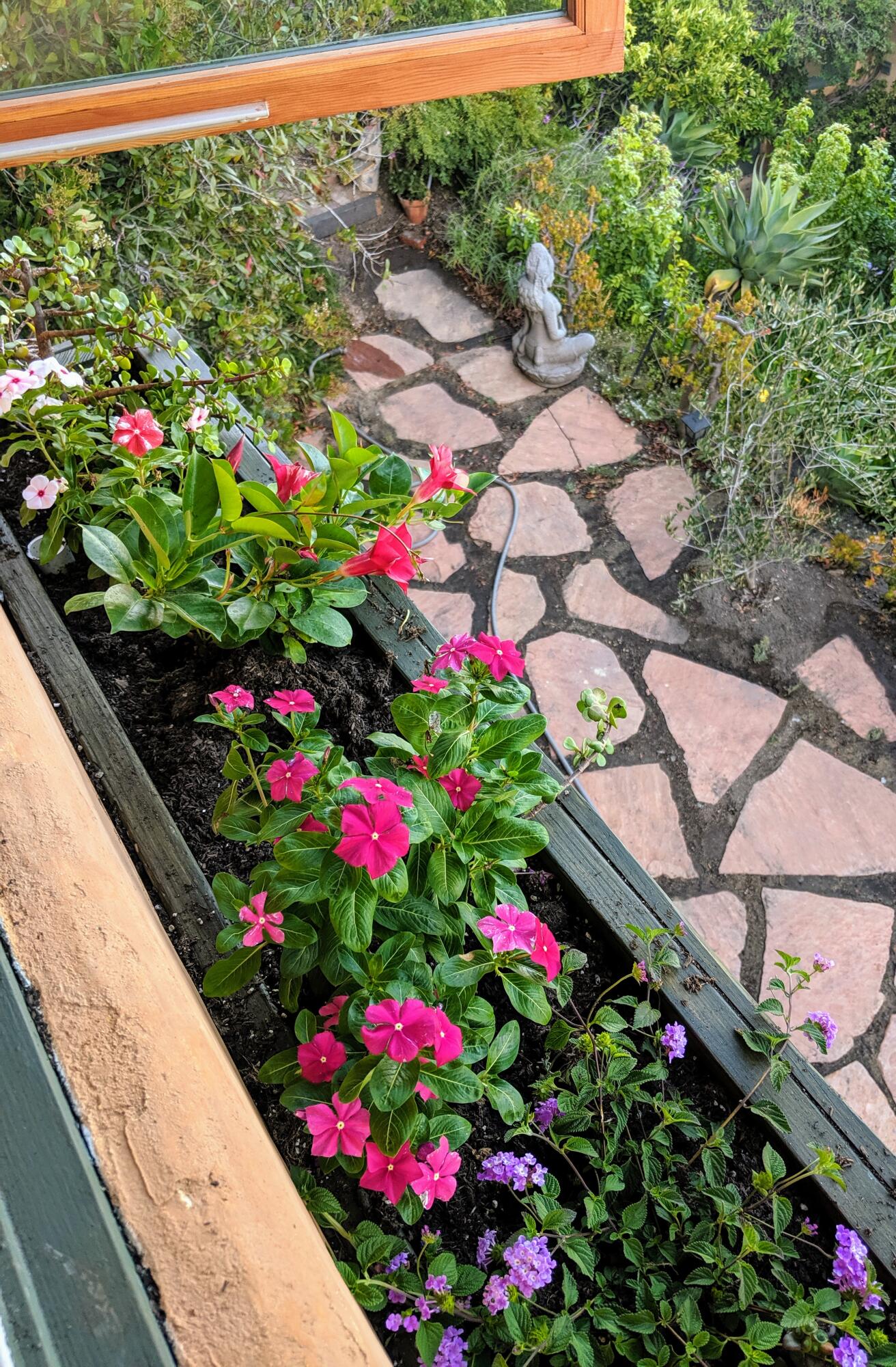 1933 Eucalyptus Hill Road Santa Barbara, CA 93108 - Photo 7 of 11 a flower view in front of flowers