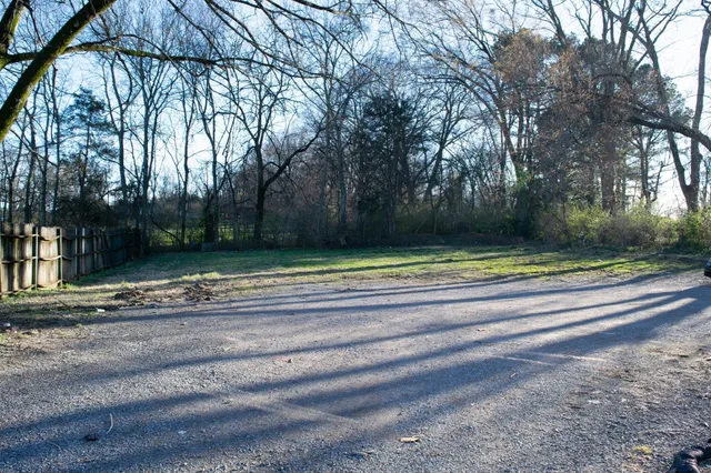 a view of backyard with green space