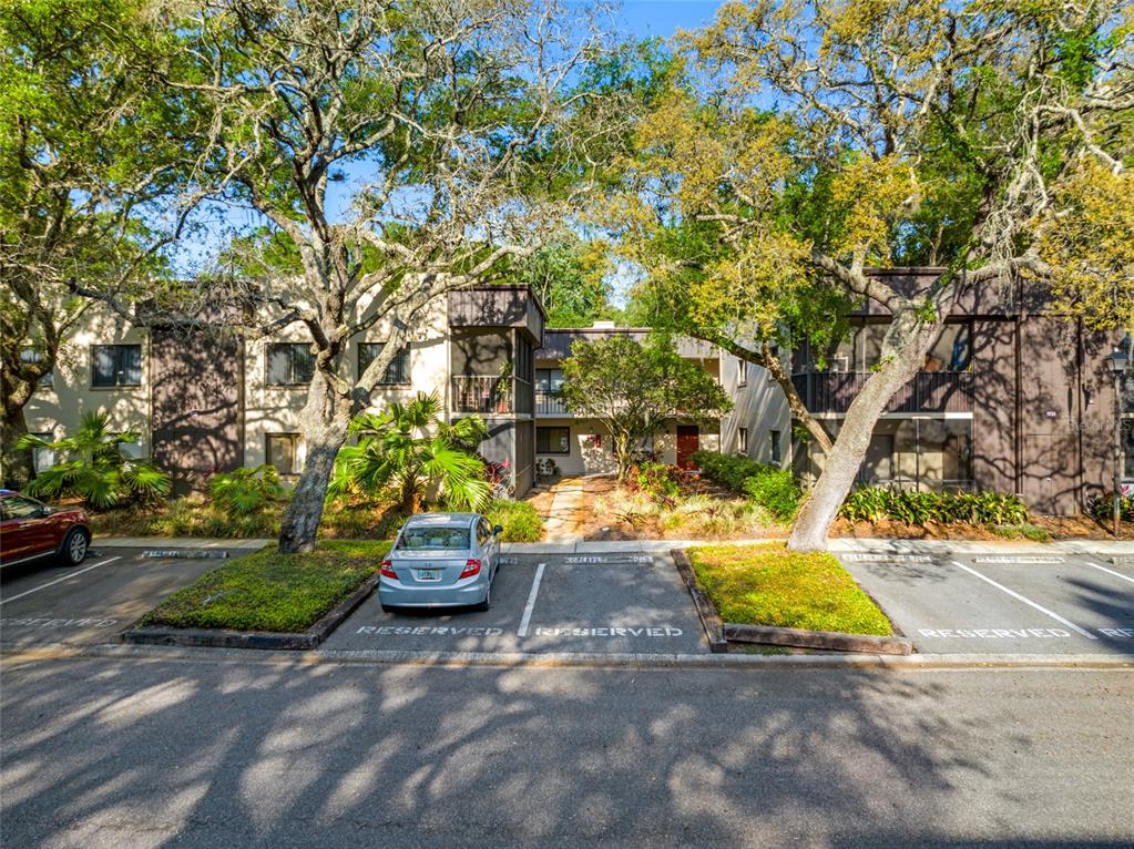 11720 Raintree Village Boulevard, Unit A Temple Terrace, FL 33617 - Photo 26 of 33