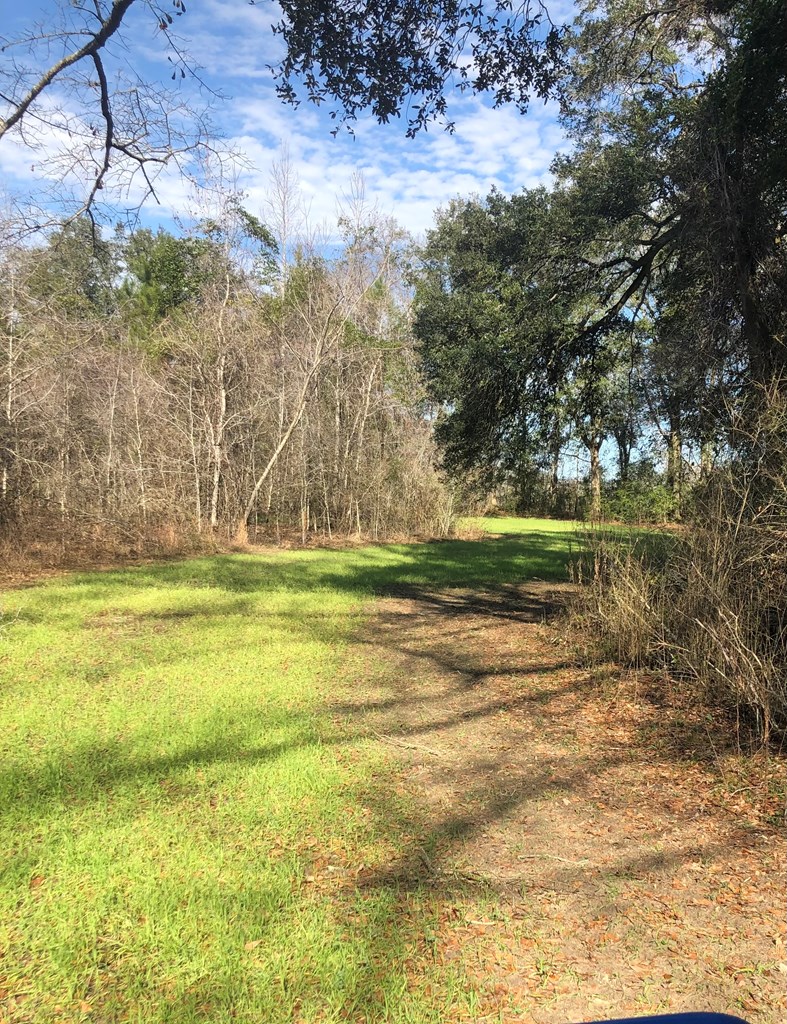 3912 New Hinson Road Slocomb, AL 36375 - Photo 5 of 11