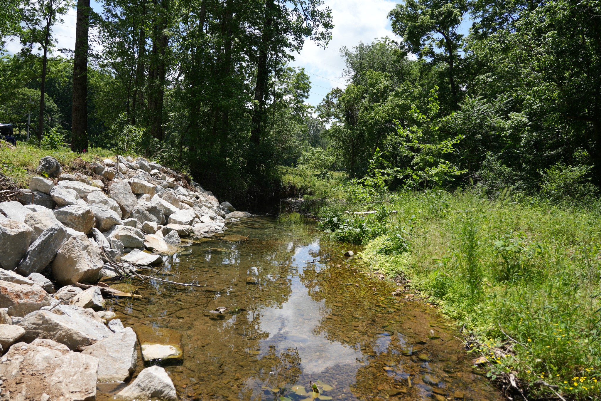 1 Budds Creek Road Palmyra, TN 37142 - Photo 18 of 76