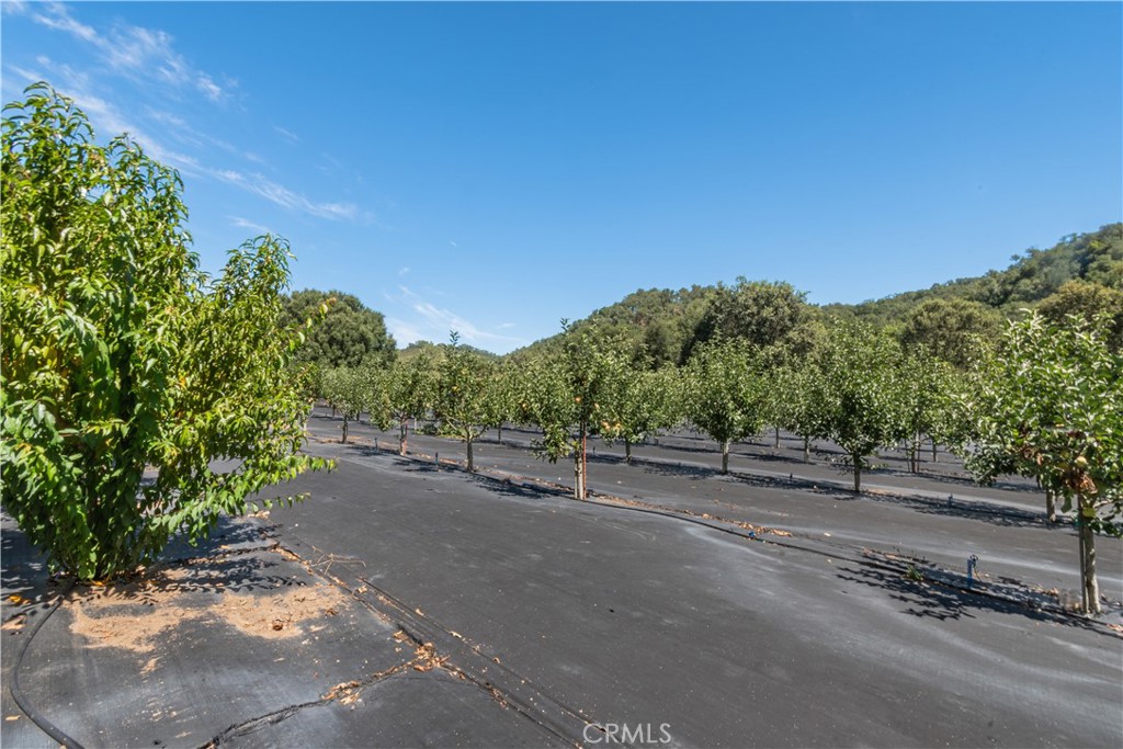 10443 Dover Canyon Road Templeton, CA 93465 - Photo 10 of 23 Gallery Image 10
