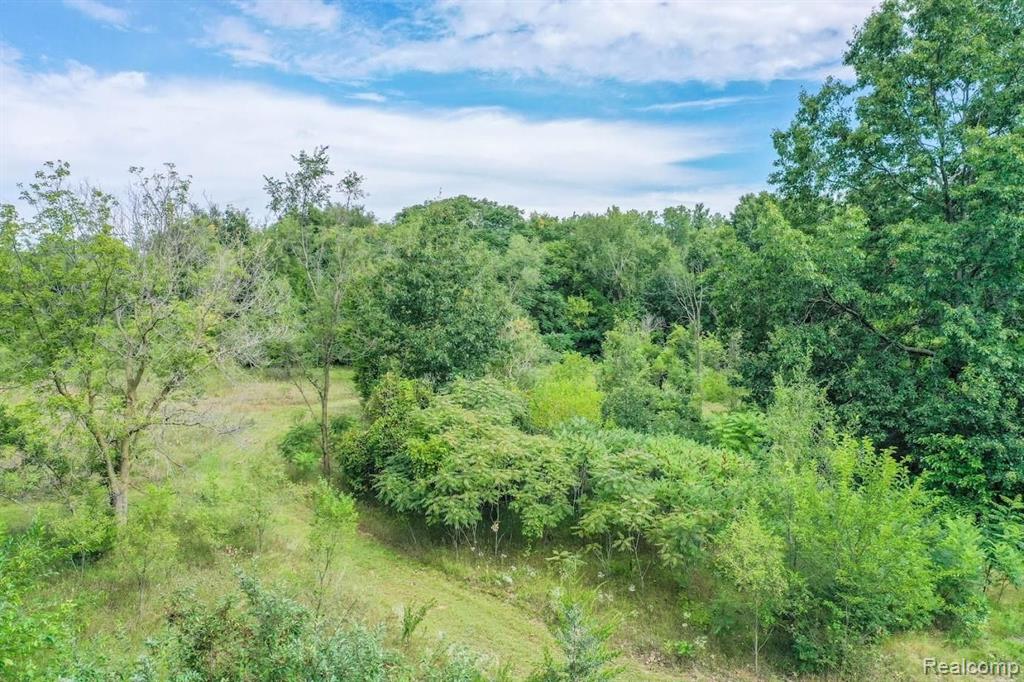 0 Torrey Beach Drive Fenton, MI 48430 - Photo 7 of 12 Gallery Image 7