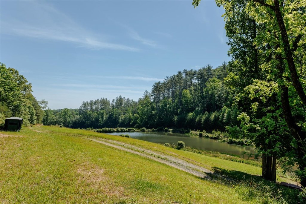 5260 Hardscrabble Road Mineral Bluff, GA 30559 - Photo 42 of 52