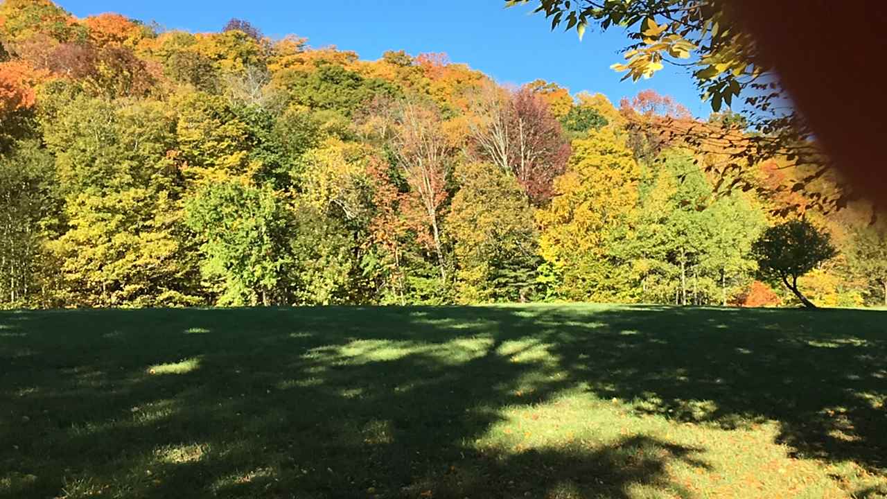 260 Whitmore Brook Road Chester, VT 05143 - Photo 2 of 29