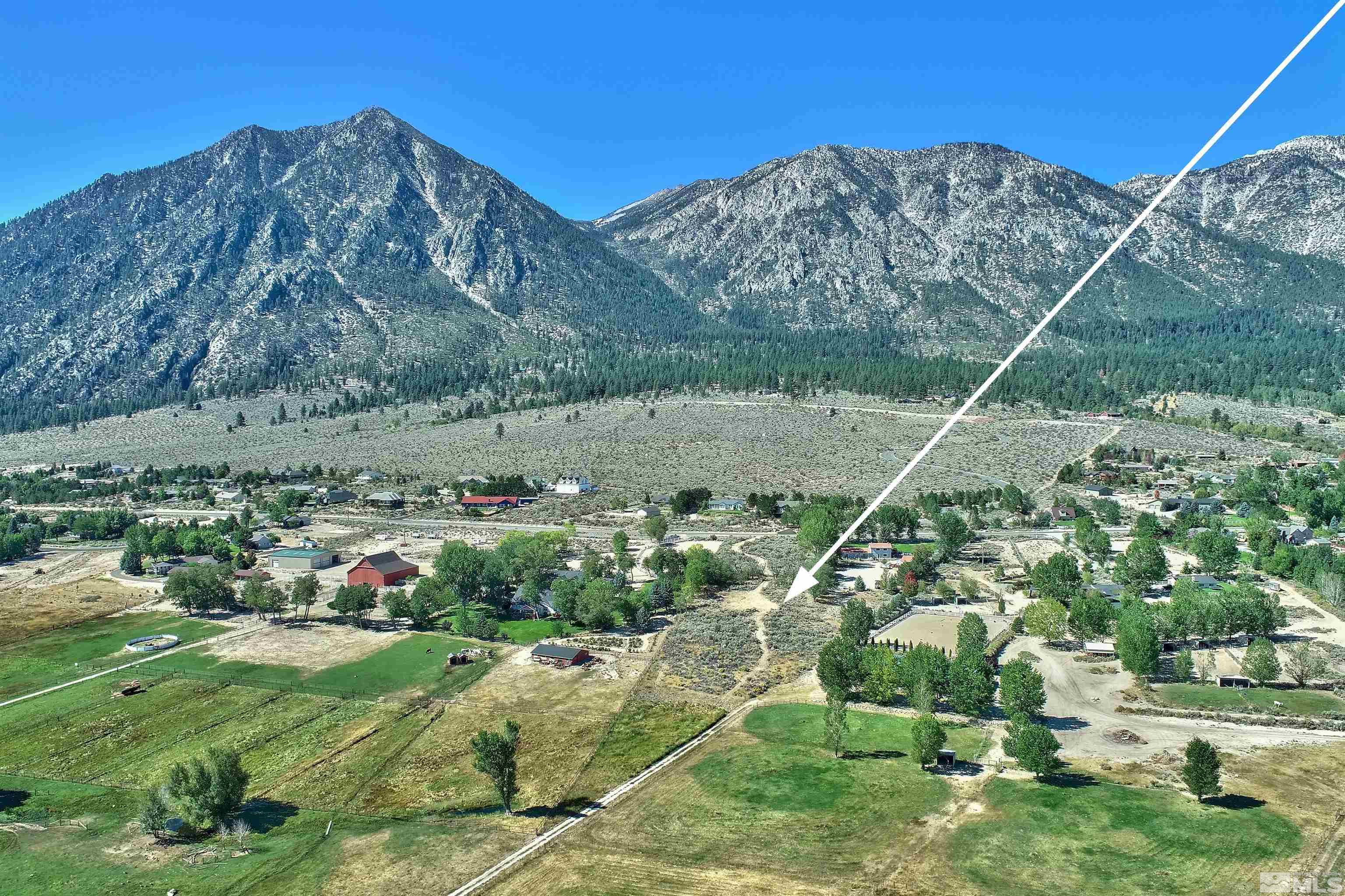 791 Foothill Road Gardnerville, NV 89460 - Photo 1 of 17 a view of a lush green field