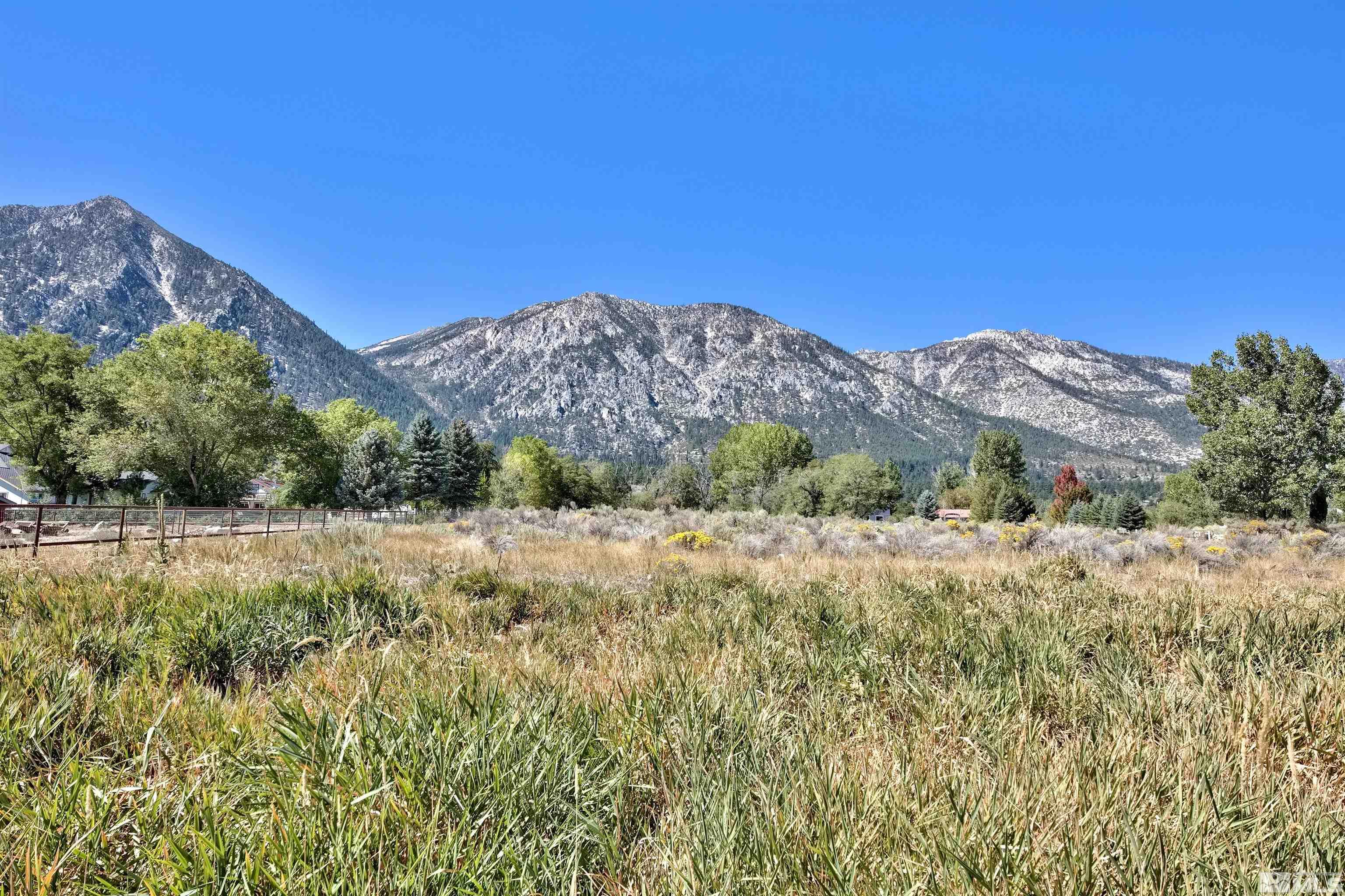 791 Foothill Road Gardnerville, NV 89460 - Photo 16 of 17 a view of a dry yard with mountains in the background