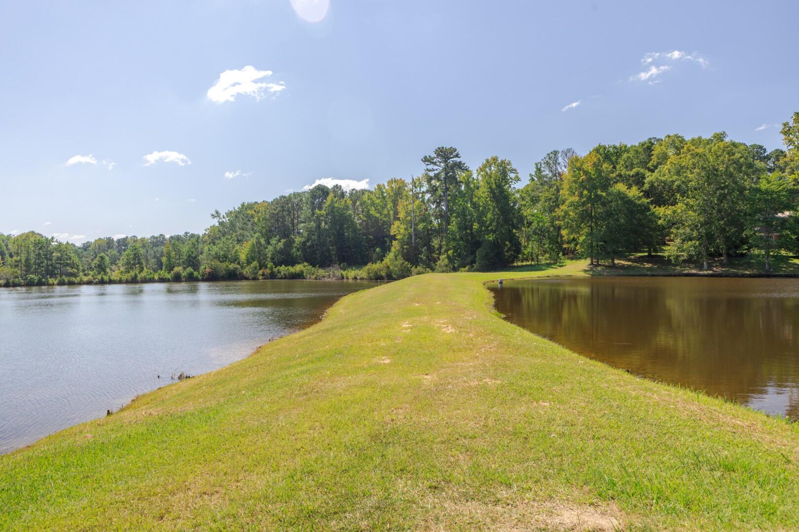 4960 White Oak Road Appling, GA 30802 - Photo 73 of 75 GA7A3555 (Large)