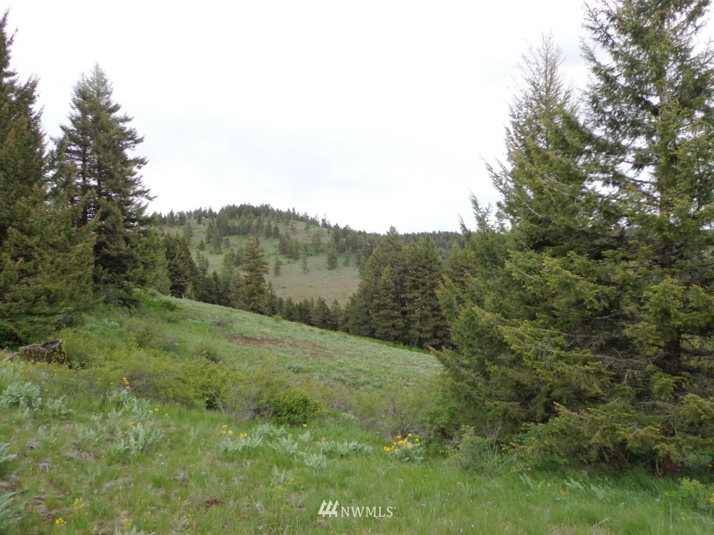 44 Gold Mt Road Republic, WA 99166 - Photo 6 of 12