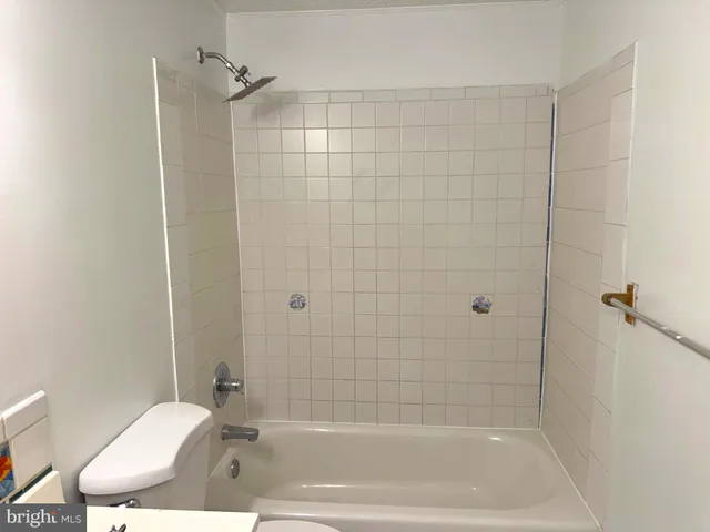 a bathroom with a bathtub and a toilet