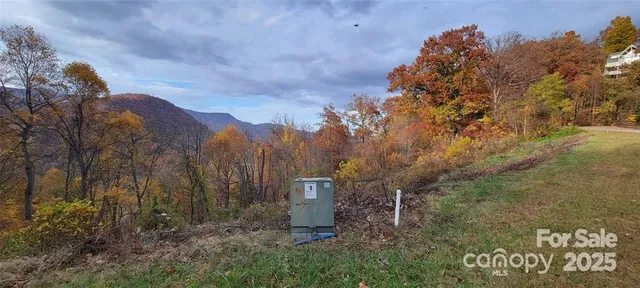 a view of a yard with flower plants and large trees