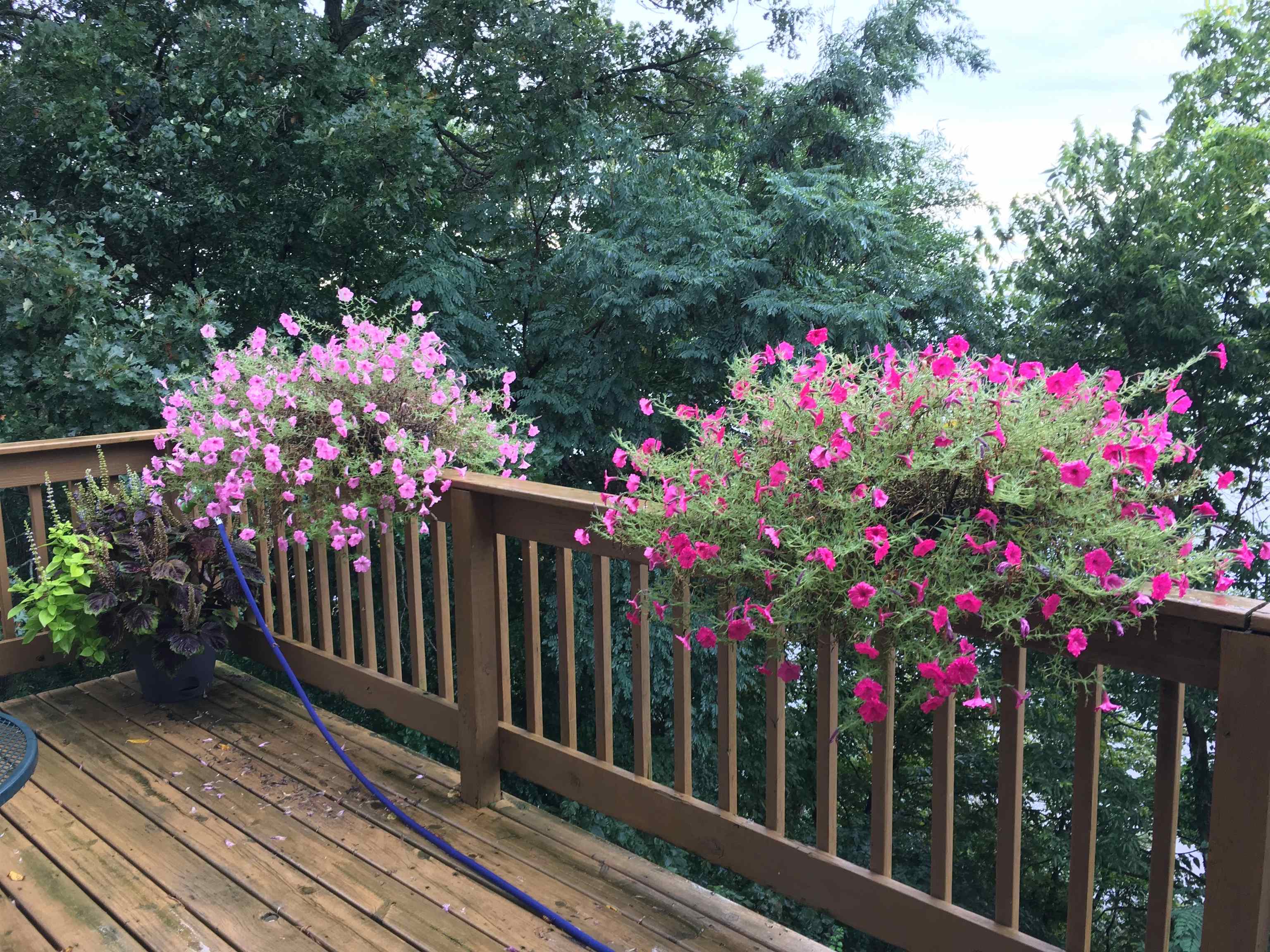 N799 Waubunsee Trail, Unit 1 Fort Atkinson, WI 53538 - Photo 36 of 45