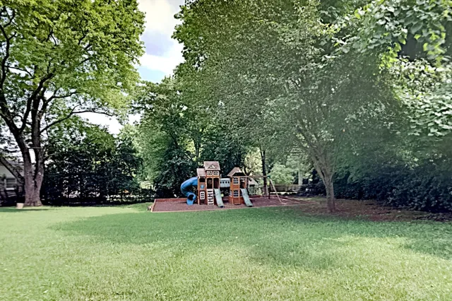 a view of a park with large trees