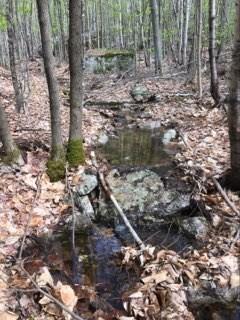 11 Off Map Road New Gloucester, ME 04260 - Photo 11 of 16 Picture 11