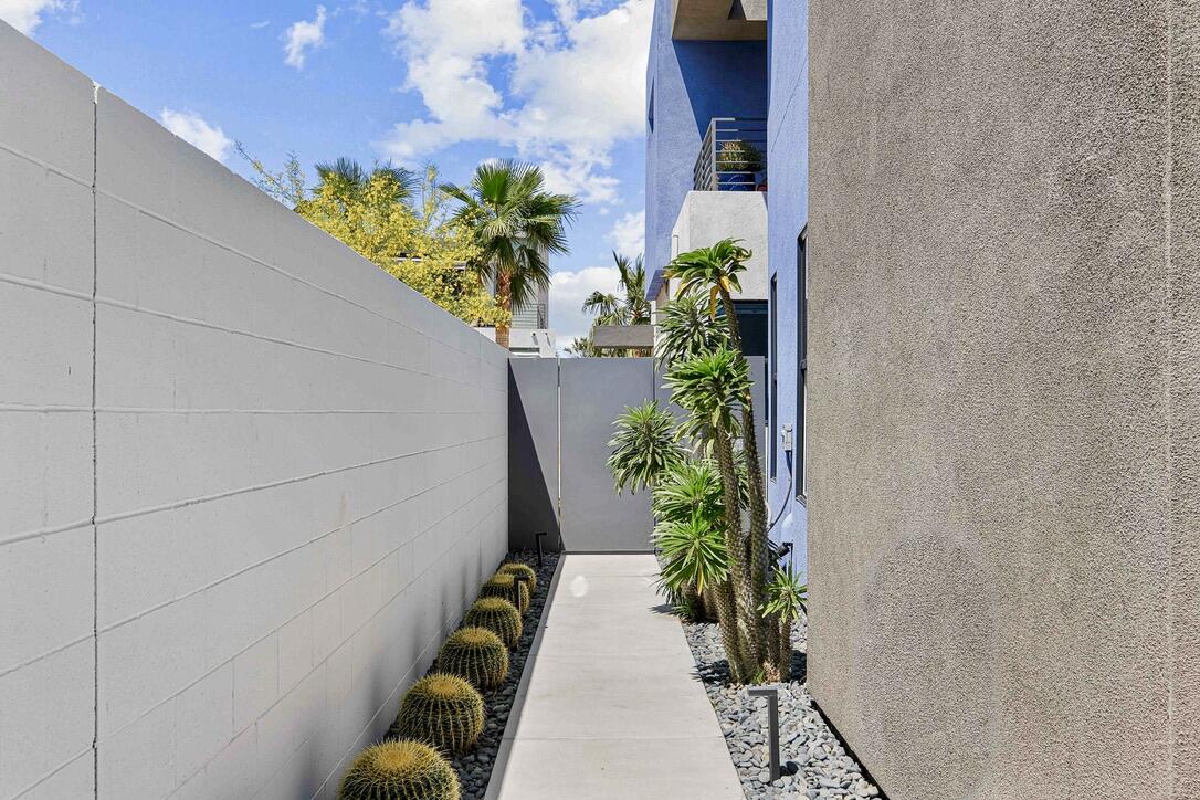 489 Beacon Way Palm Springs, CA 92262 - Photo 10 of 35 a potted plant sitting in front of a door