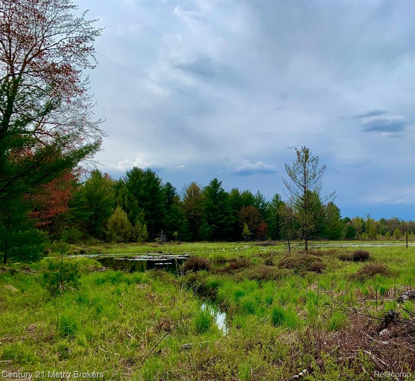 0 East Sugar River Road Alger, MI 48610 - Photo 15 of 50