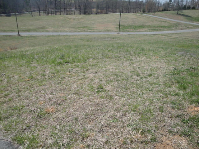 Lot 18 Pocahontas Lane Rutledge, TN 37861 - Photo 2 of 3 Lot 18
