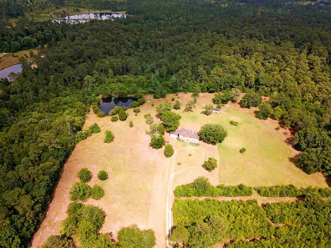 10390 County Road 83 Elberta, AL 36530 - Photo 3 of 22