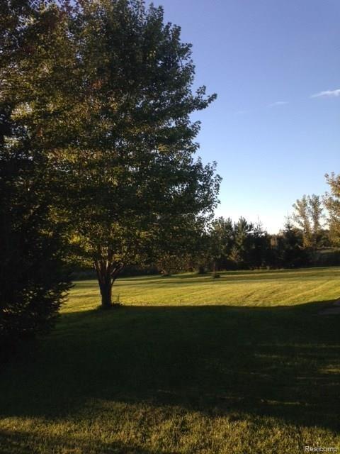 11022 Kennedy Road Emmett, MI 48022 - Photo 21 of 24