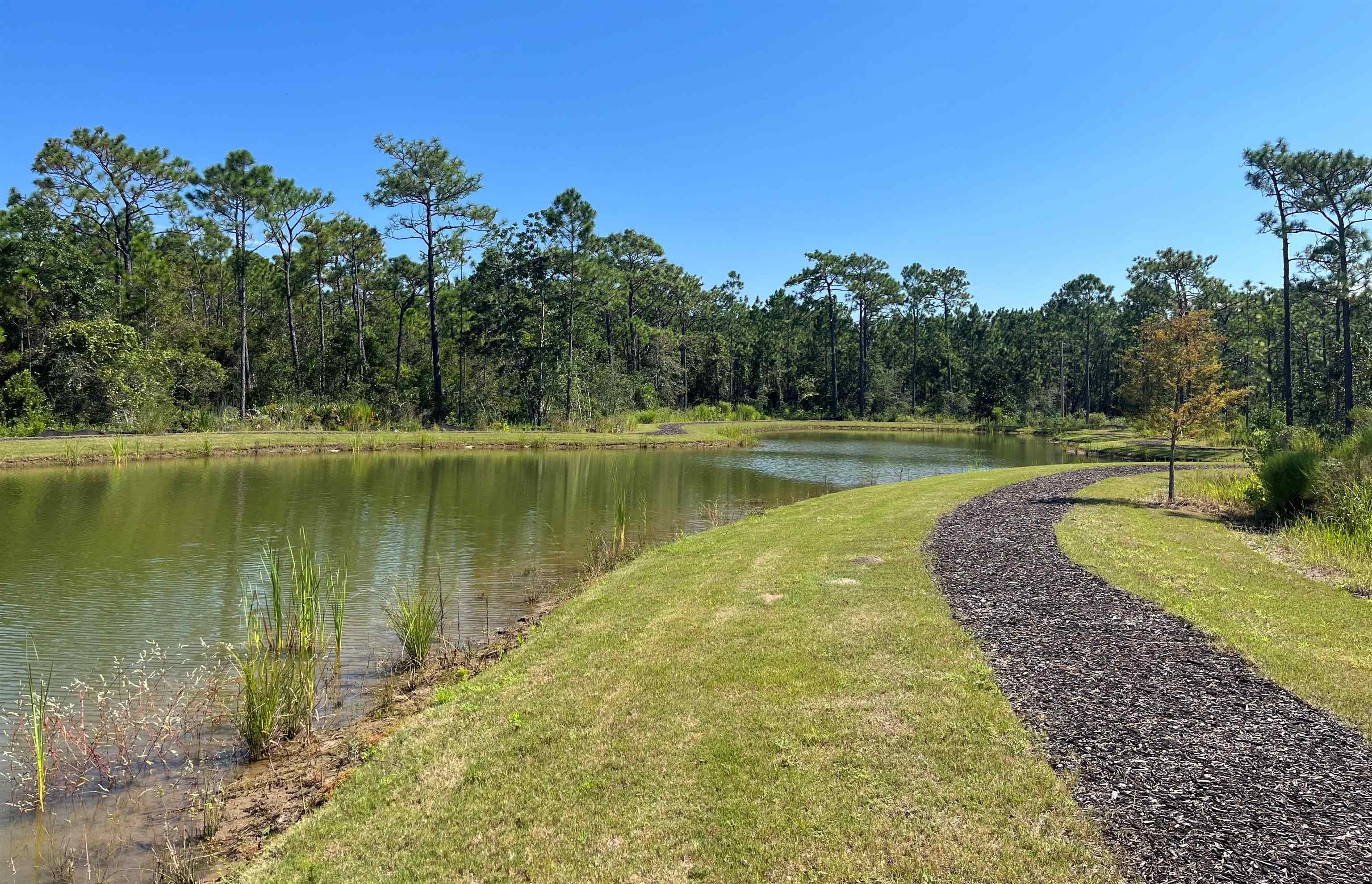 24561 Broken Sound Loop Orange Beach, AL 36561 - Photo 2 of 4