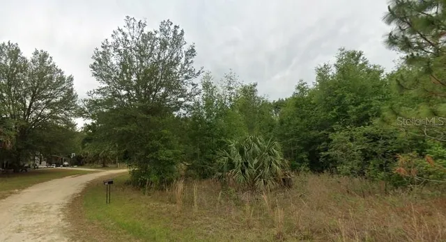 a view of a lake with lots of trees