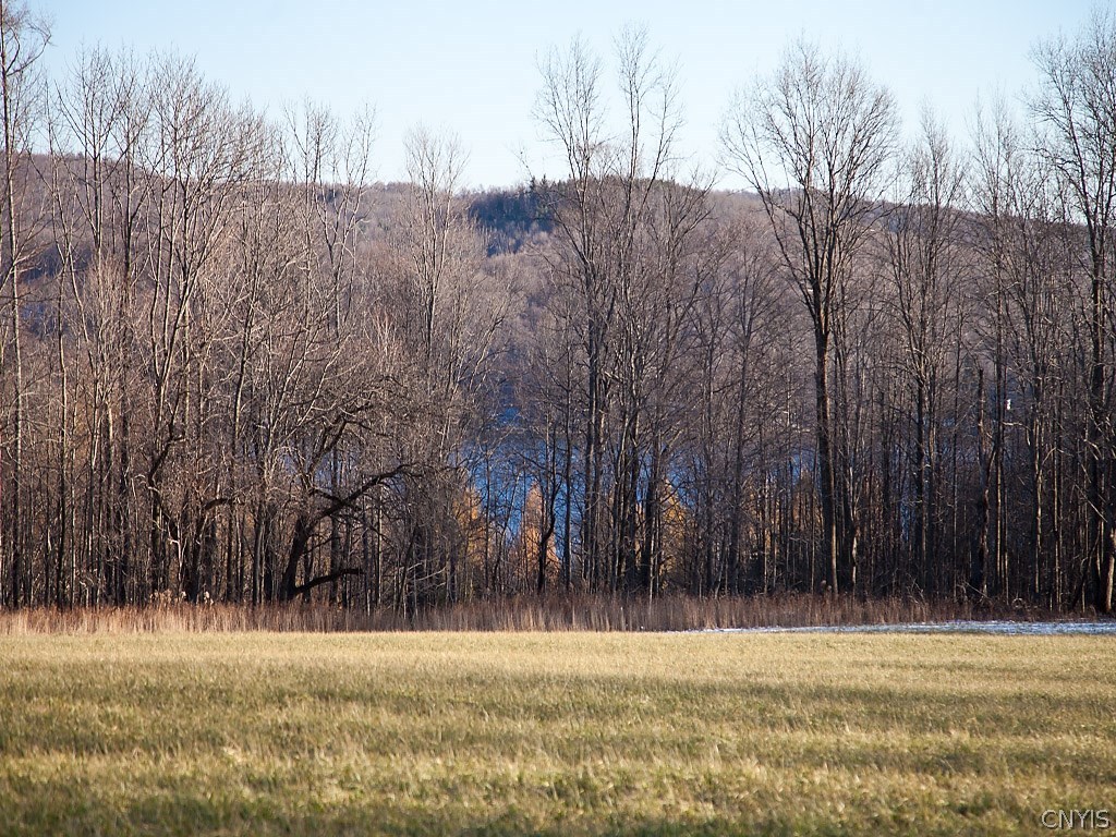 Lot 2 Hall Road Erieville, NY 13061 - Photo 1 of 1 Gallery Image 1