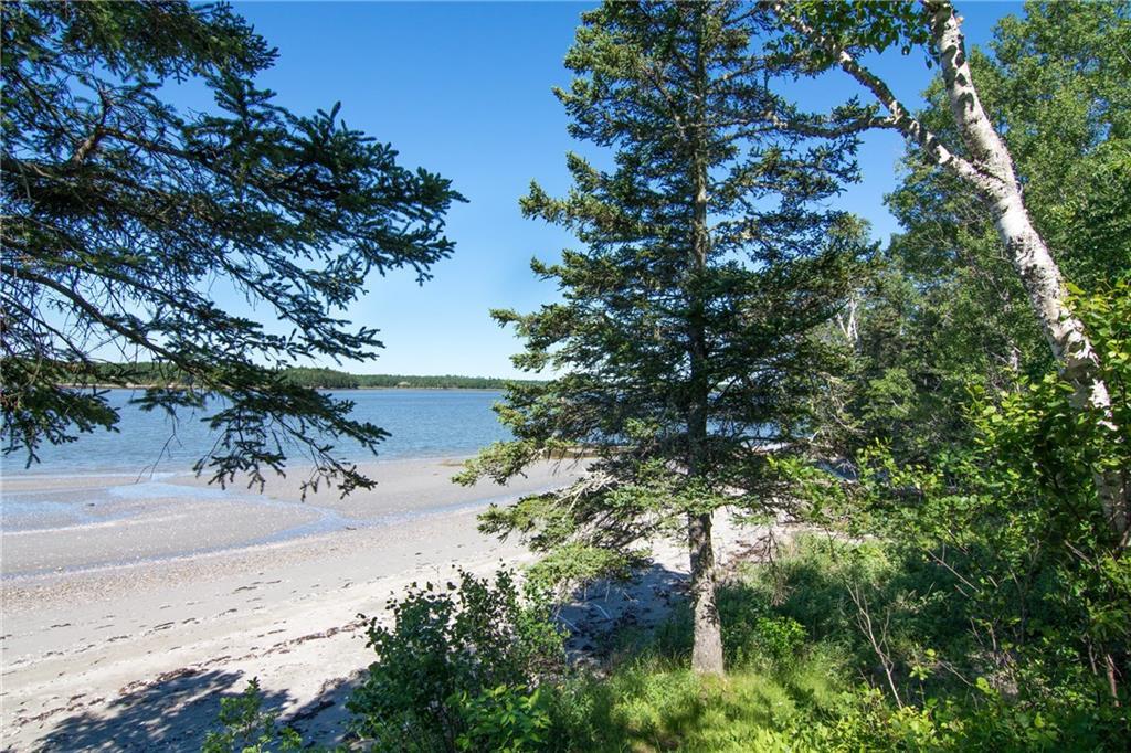 325 Ficketts Point Road Milbridge, ME 04658 - Photo 34 of 35 Ahhh. What a view from the back yard.