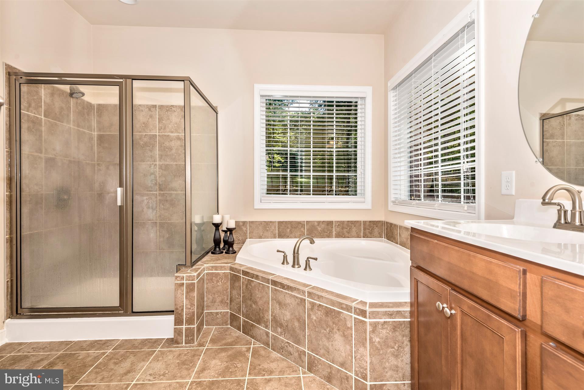6709 South Clifton Road Frederick, MD 21703 - Photo 20 of 30 Bath (Master)