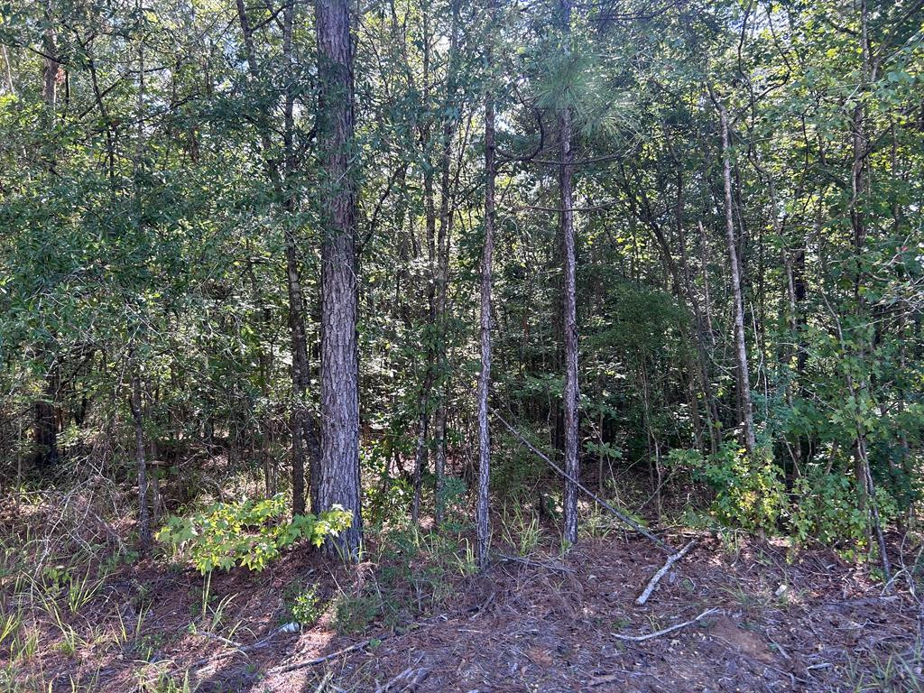 Lot 2 Mallard Trail Summit Summit, MS 39666 - Photo 1 of 1 Main View