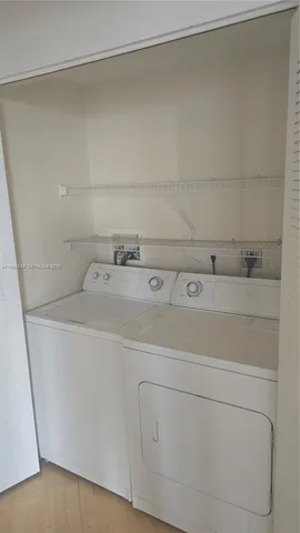 a view of a yard with plants and large trees