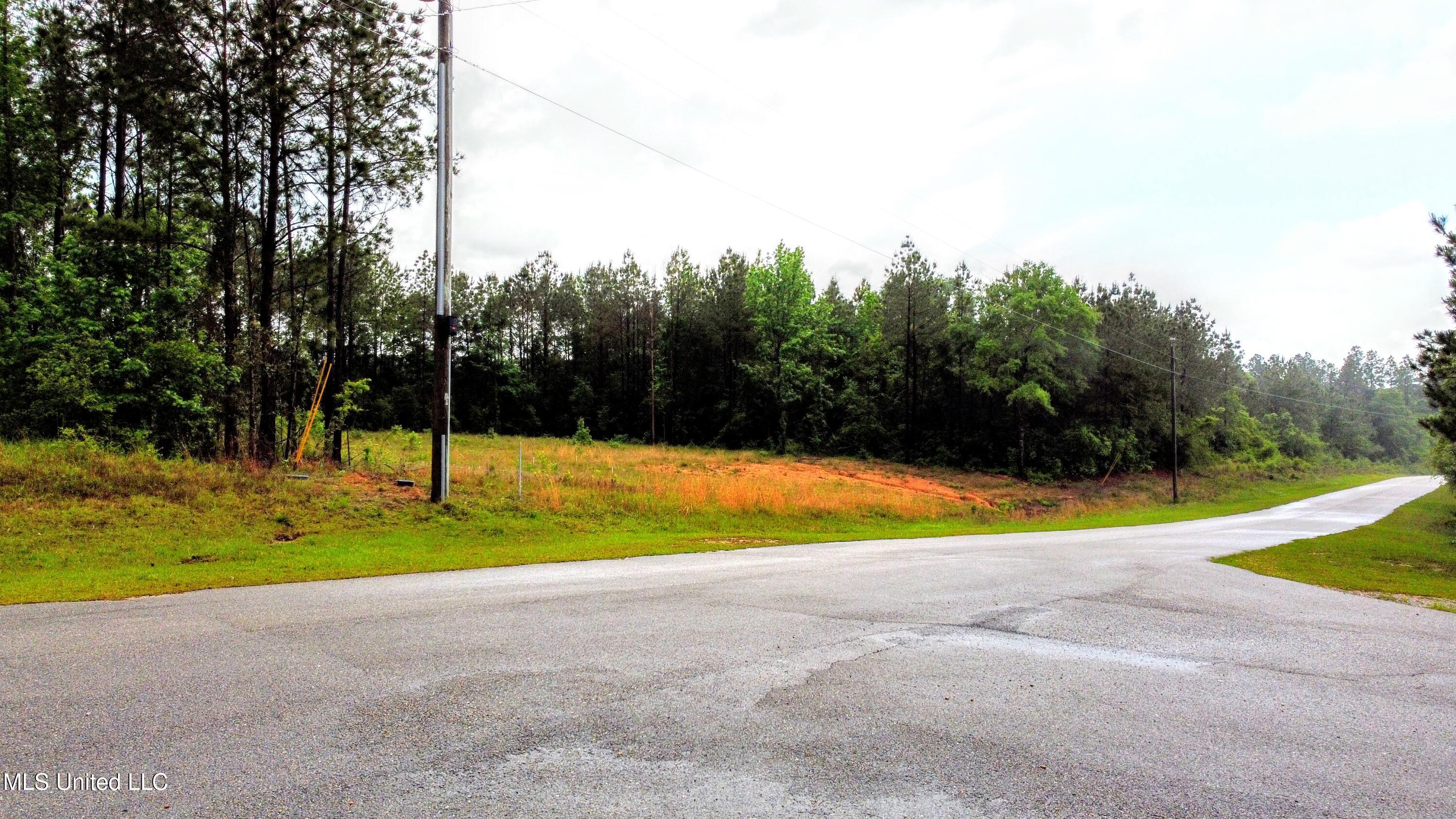 36 East Stonegate Boulevard Perkinston, MS 39573 - Photo 2 of 9 DJI_0019