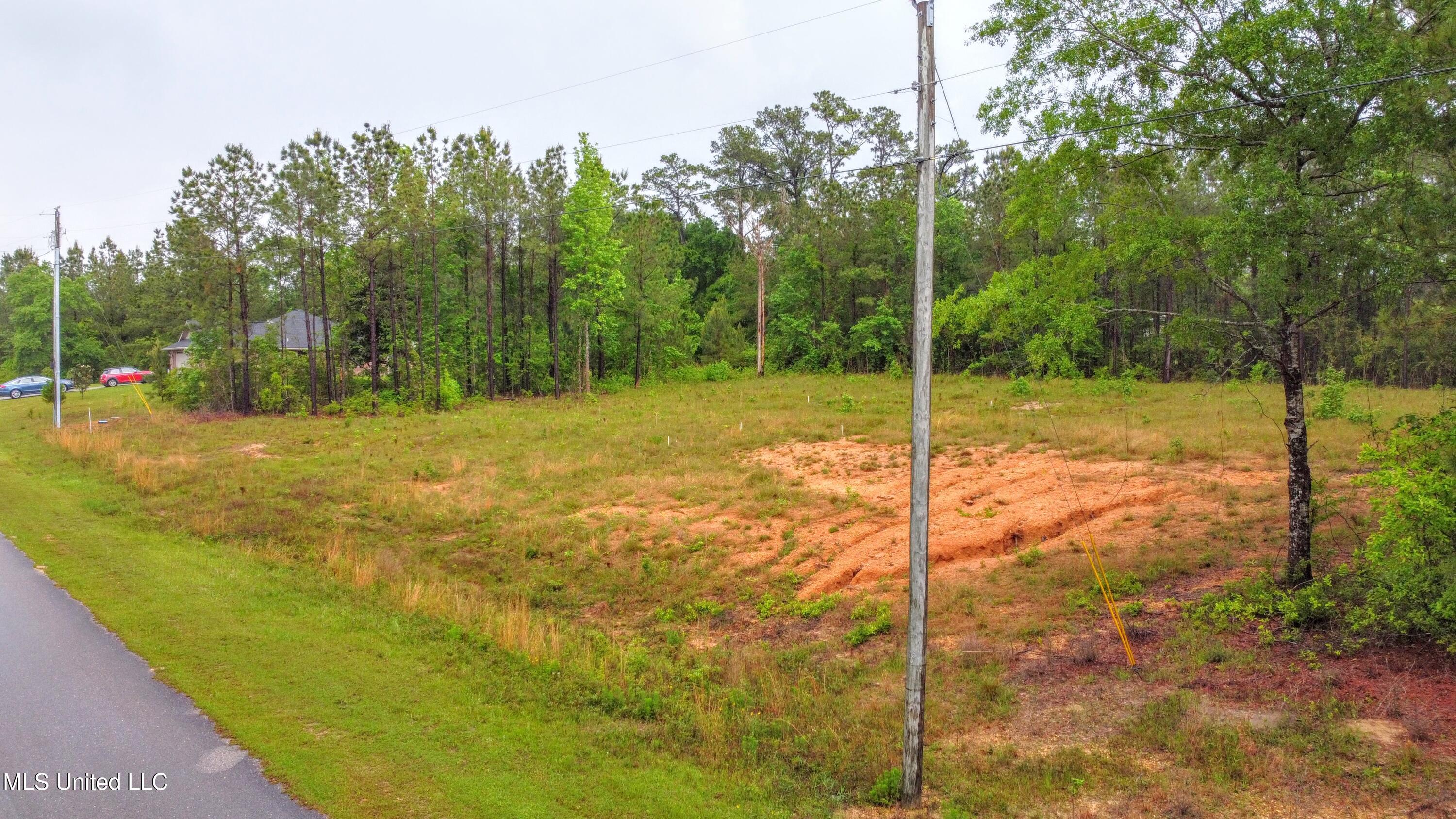 36 East Stonegate Boulevard Perkinston, MS 39573 - Photo 3 of 9 DJI_0021