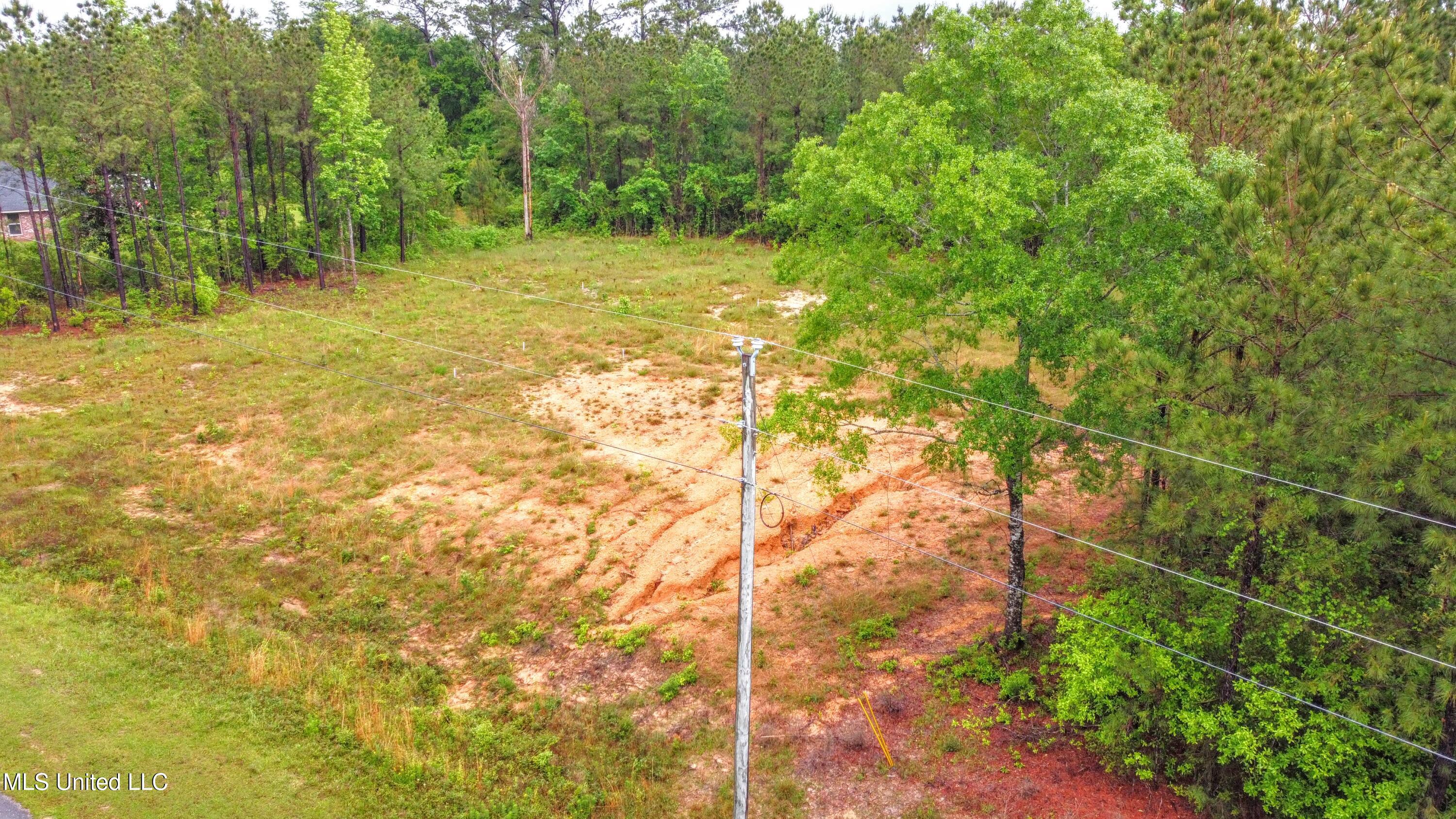 36 East Stonegate Boulevard Perkinston, MS 39573 - Photo 4 of 9 DJI_0022