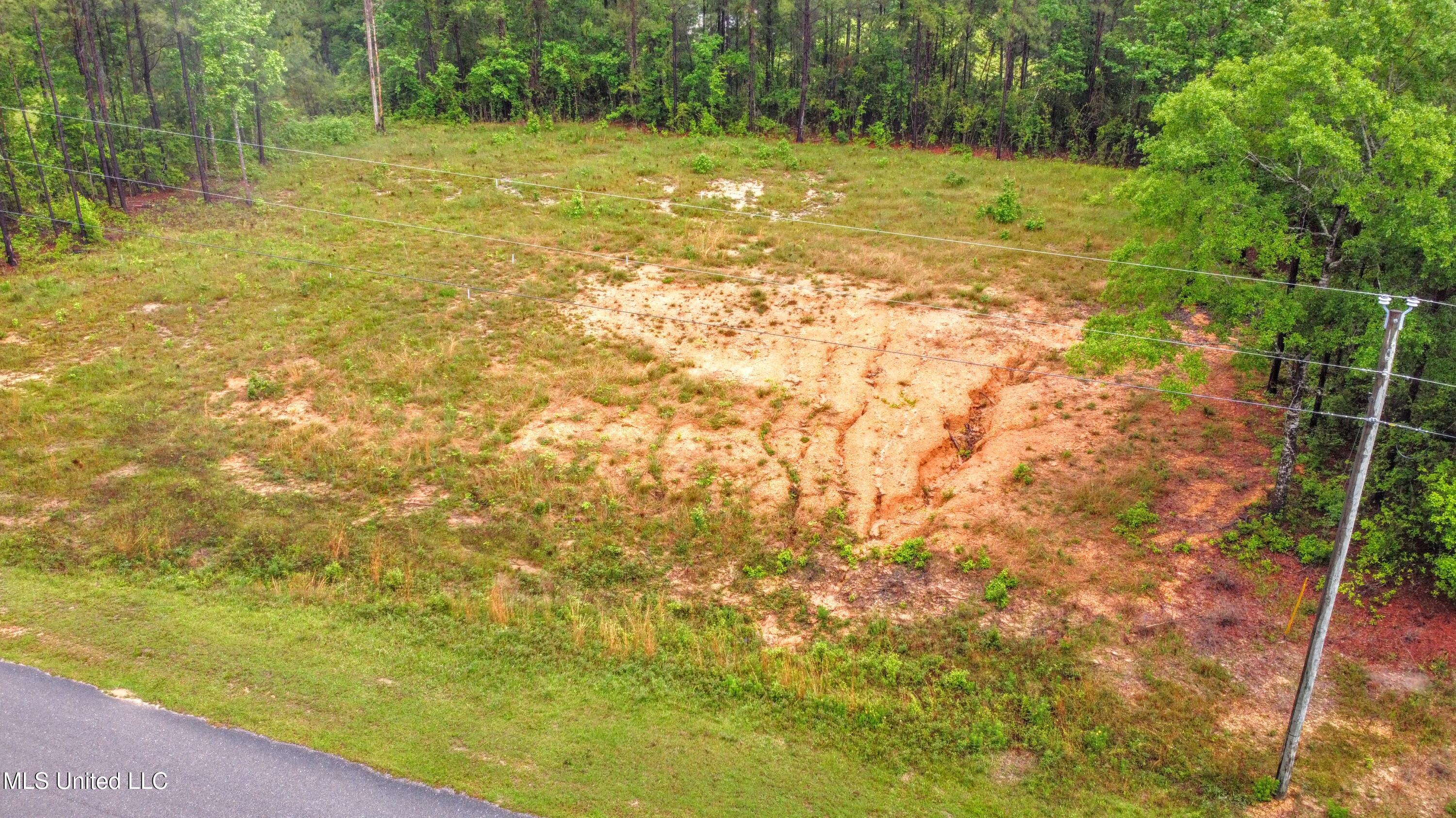 36 East Stonegate Boulevard Perkinston, MS 39573 - Photo 5 of 9 DJI_0023