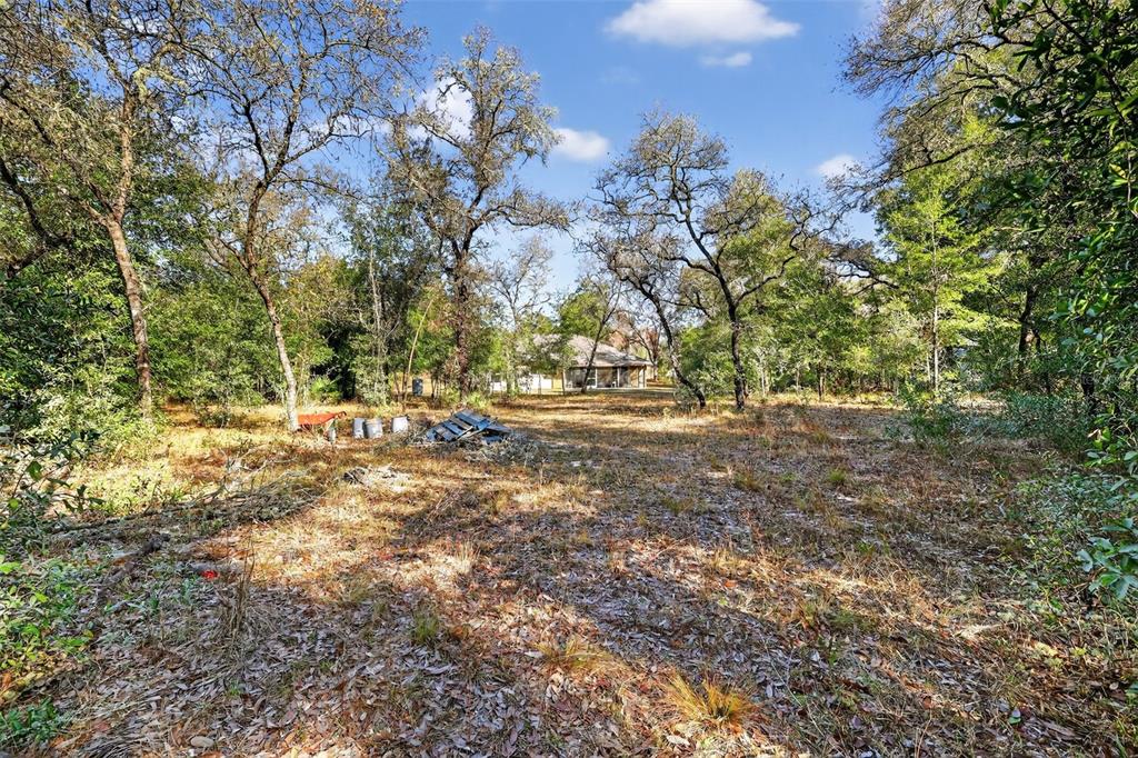 18168 Southwest 65th Loop Dunnellon, FL 34432 - Photo 25 of 26 a view of outdoor space with trees