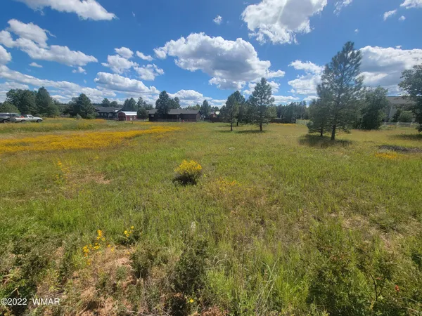 $59,999 | 2277 Meadow Lane, Overgaard, AZ 85933