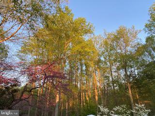 6285 Clifton Road Clifton, VA 20124 - Photo 64 of 65 Gallery Image 64
