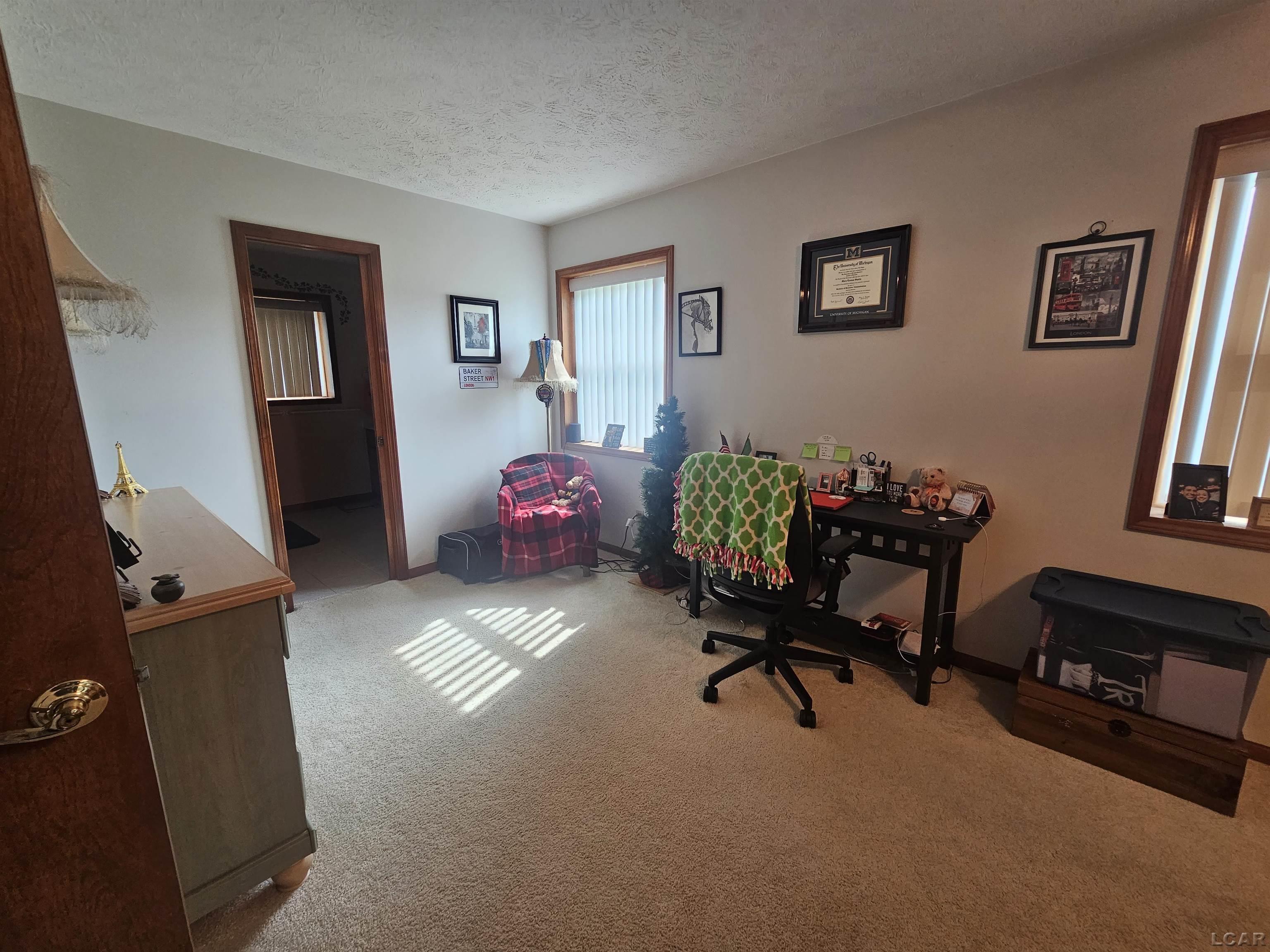 5776 Tripp Road Tipton, MI 49287 - Photo 35 of 47
