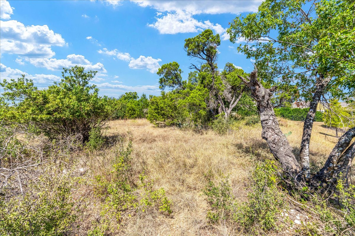 2021 Local Rebel Street, Unit 2021 Leander, TX 78641 - Photo 33 of 40 View of local wilderness