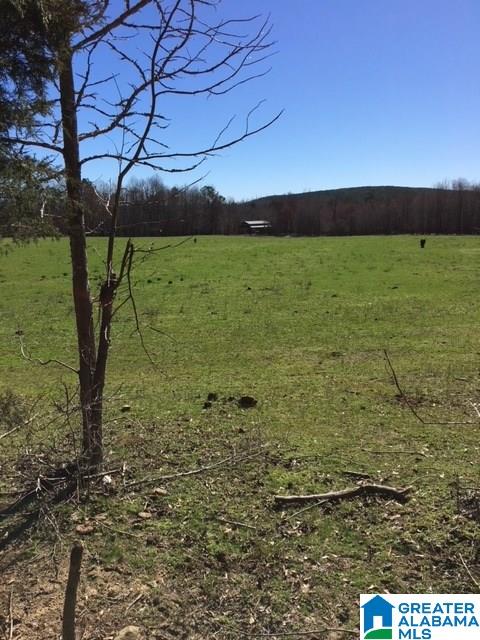 295 Horsley Road Ashville, AL 35953 - Photo 17 of 20